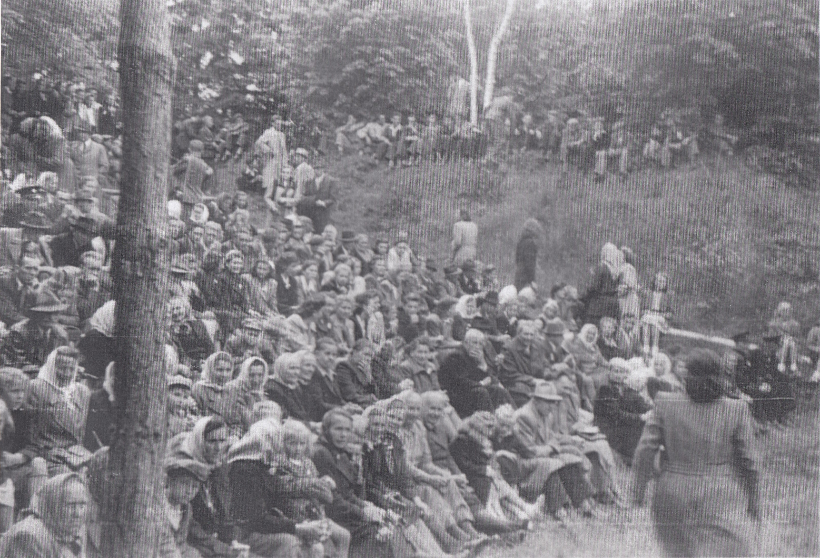 2. Lesní divadlo hlediště 1951