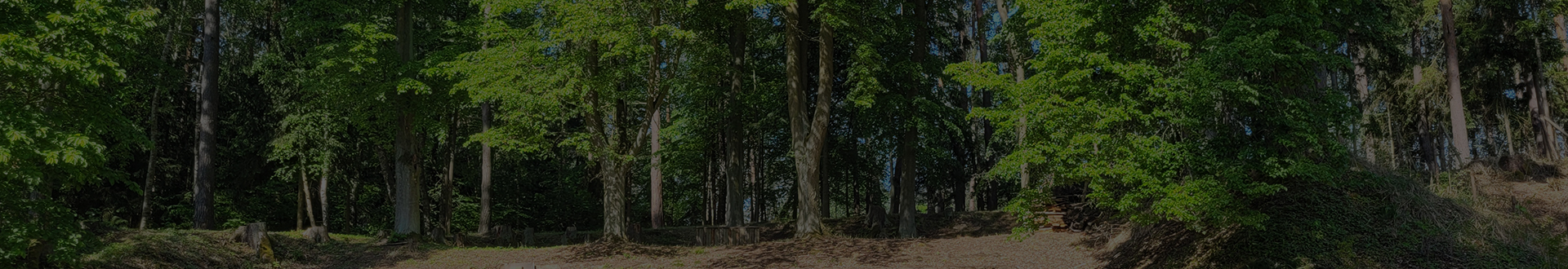 inner-banner