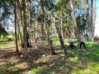 thumb_6855366770a33_20250420_141651_002.jpg