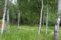P6080690